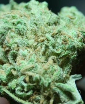 Buy blue dream online | blue dream for sale | blue dream