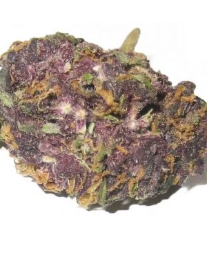 Grandaddy-Purple